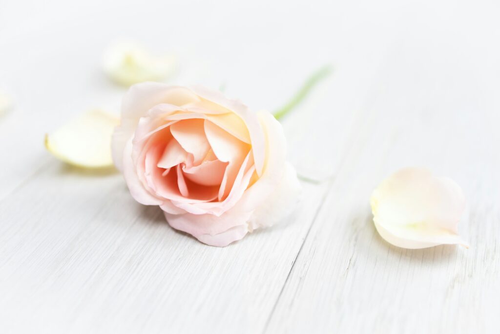 Hello World Featured Image